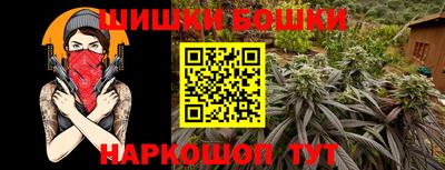 молекула духа Будённовск