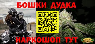 молекула духа Будённовск