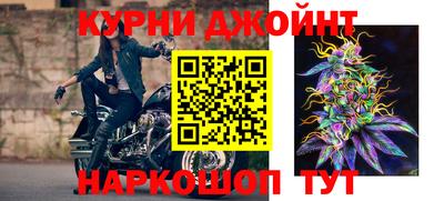 молекула духа Будённовск